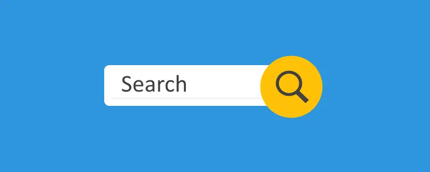 importance of search bar on websites