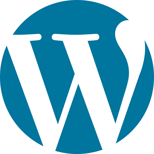 website design for NDIS professionals in WordPress