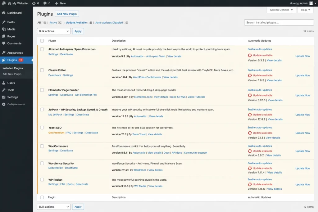 image showing the wordpress backend plugin section with update required