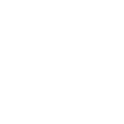 Custom WooCommerce development icon